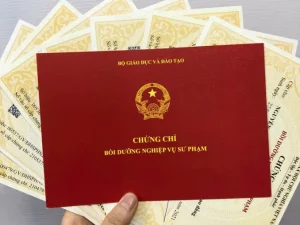 Chứng Chỉ Nghiệp Vụ Sư Phạm